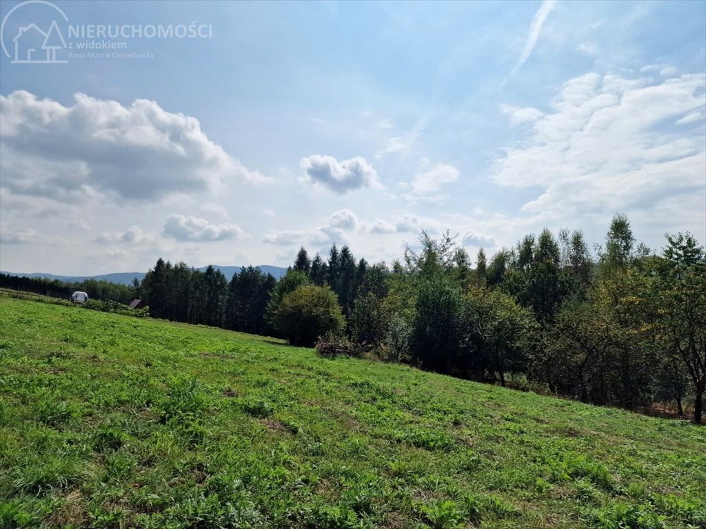 Działka budowlana na sprzedaż Tuchów  4 632m2 Foto 9