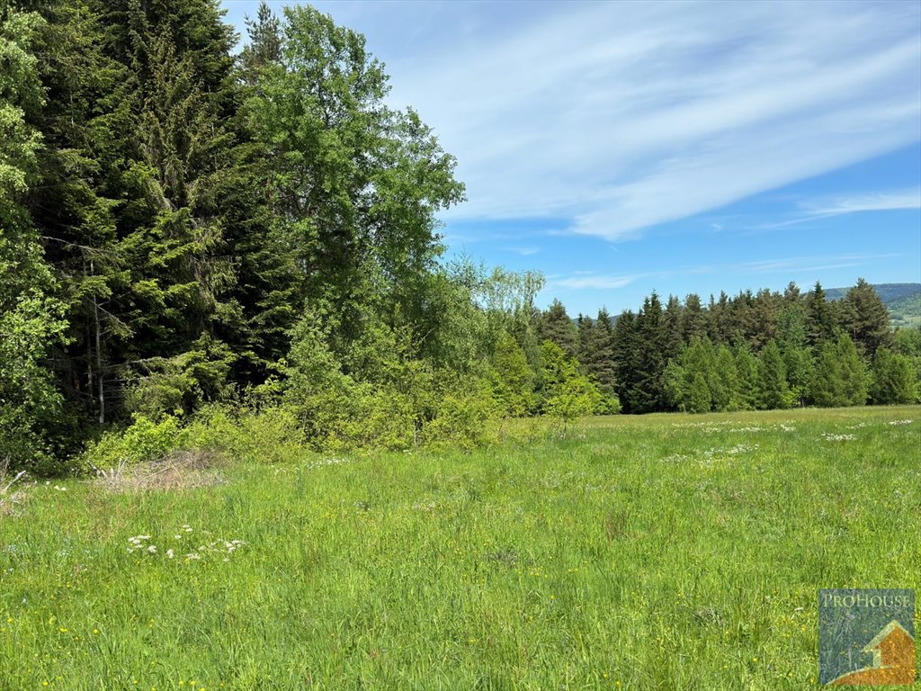 Działka leśna na sprzedaż Podłopień  5 200m2 Foto 7