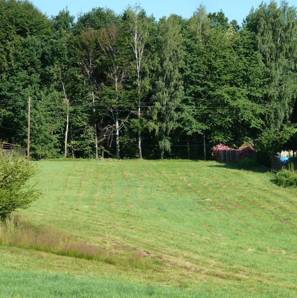 Działka budowlana na sprzedaż Pisarzowice, Spacerowa  2 060m2 Foto 1