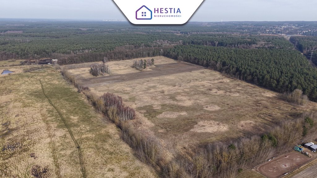 Działka budowlana na sprzedaż Wołczkowo  3 000m2 Foto 6