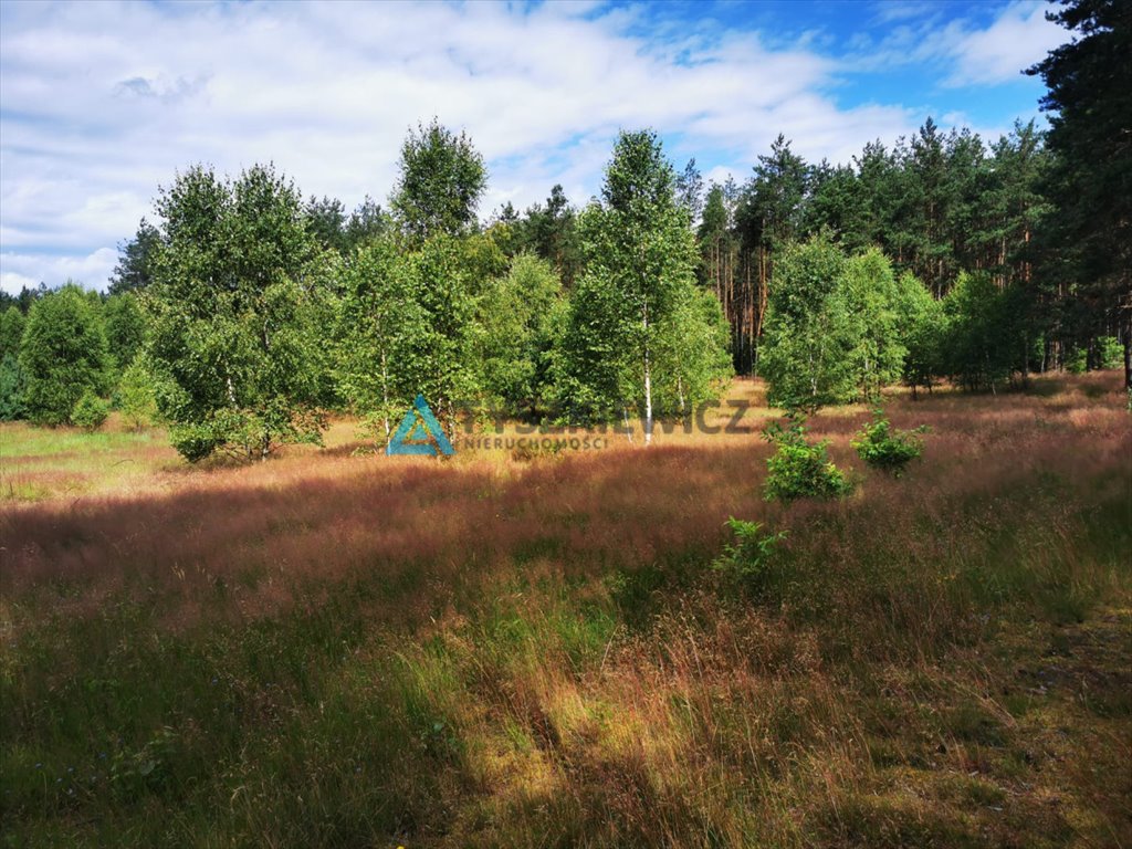 Działka leśna na sprzedaż Wygonin  2 092m2 Foto 5