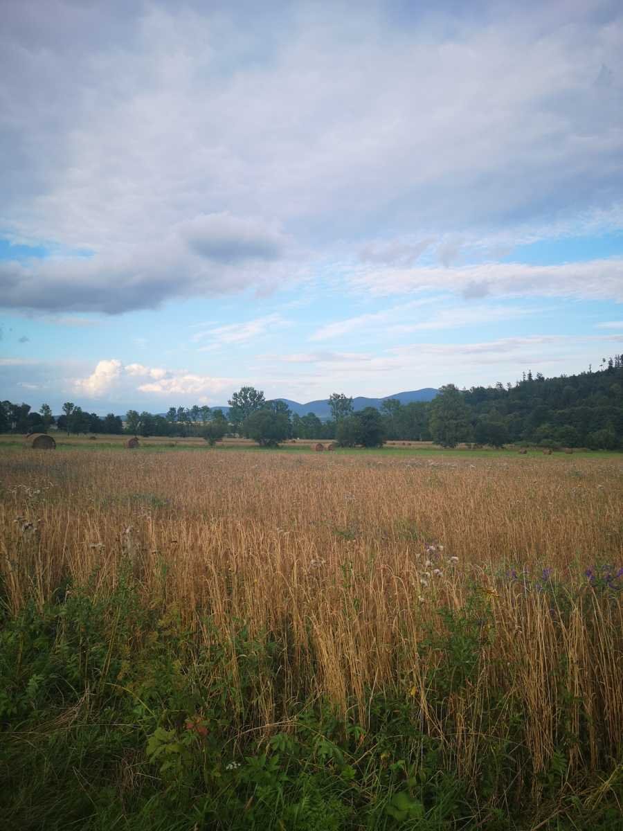 Malownicza działka 20 arów z widokiem na góry, las i szlaki Różanka, Różanka  2 000m2 Foto 1