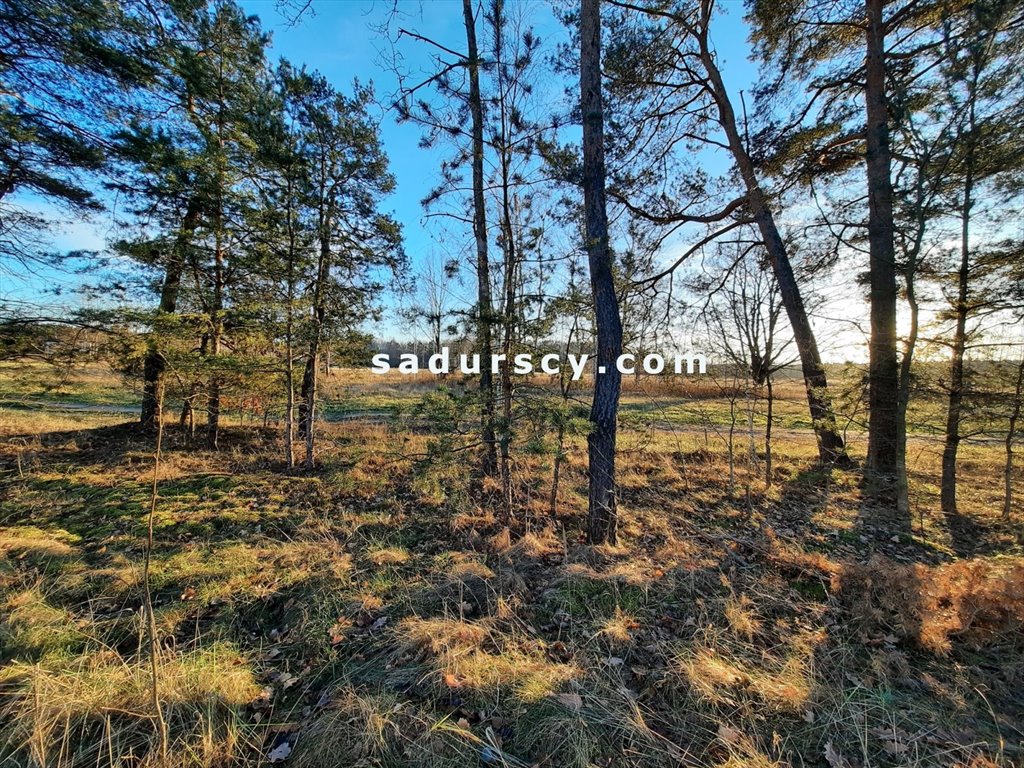 Działka budowlana na sprzedaż Baniocha  3 539m2 Foto 6