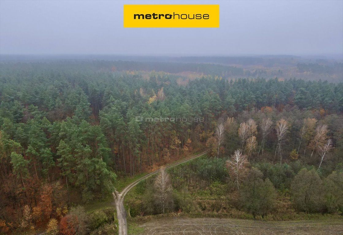 Urokliwa działka 42 864 m² z lasami i łąkami Wonna  42 864m2 Foto 1