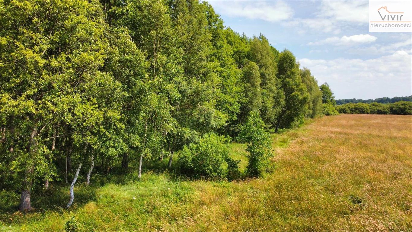 Działka inna na sprzedaż Rzuszcze  30 900m2 Foto 9