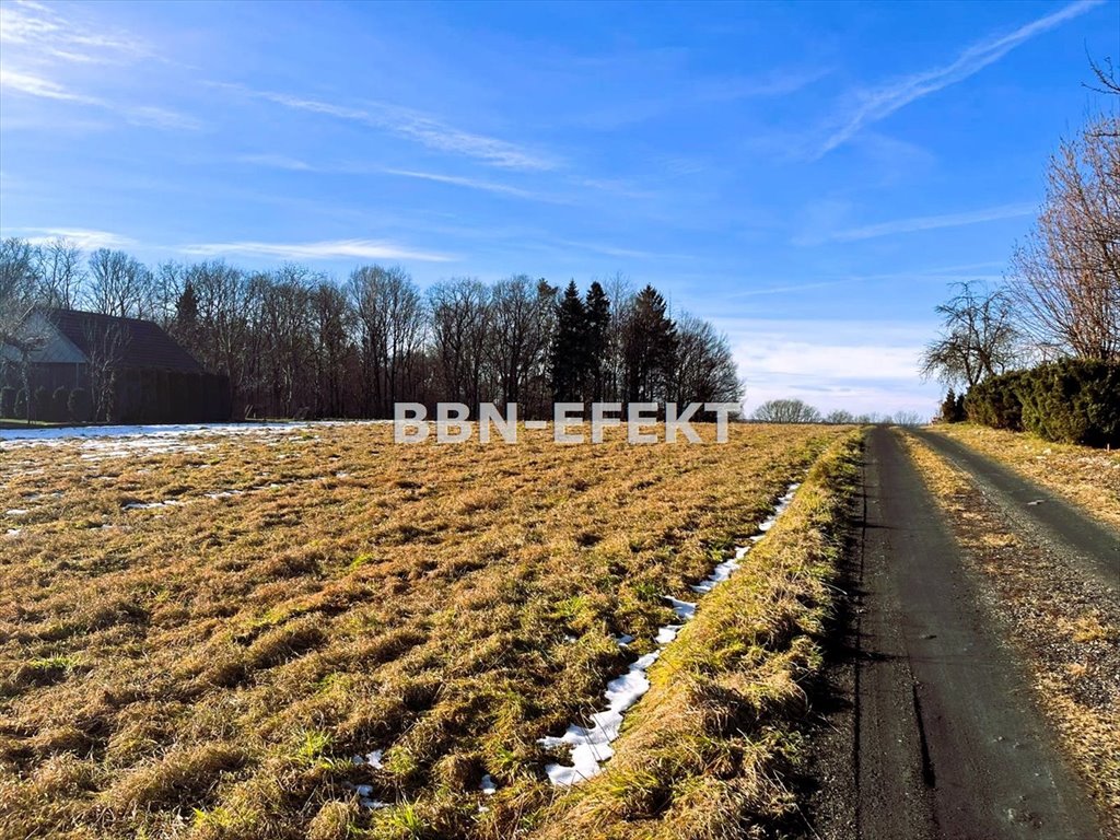 Działka budowlana na sprzedaż Pisarzowice  1 092m2 Foto 1