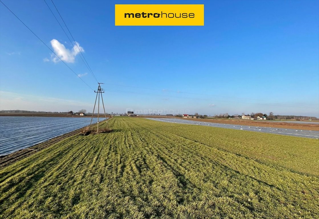 Działka budowlana na sprzedaż Miączyn  17 000m2 Foto 1