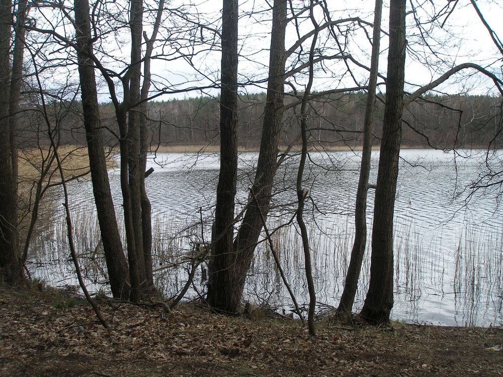 Działka rekreacyjna nad jeziorem, las, media w trakcie Chłopowo  830m2 Foto 1