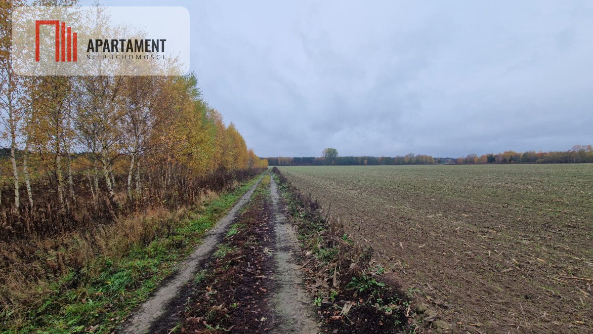 Działka pod zabudowę 6 domów, WZ, las, dojazd 10 min S5 Żołędowo  7 136m2 Foto 1