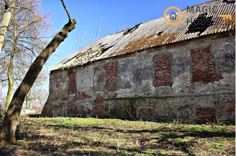 Lokal użytkowy na sprzedaż Lenie Wielkie  67 700m2 Foto 9