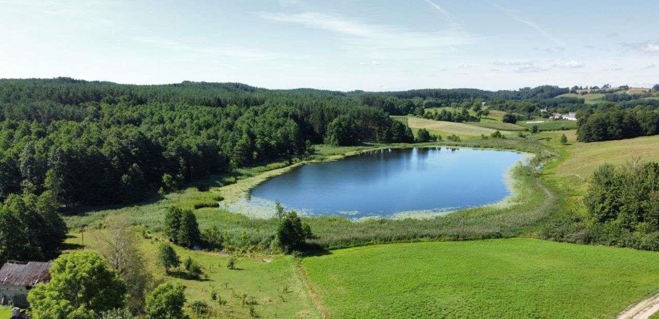 Działka rolna na sprzedaż Jeleniewo  2 800m2 Foto 8