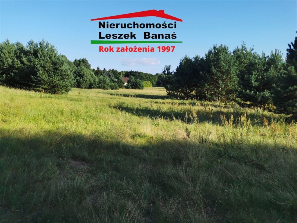 Zdjęcie 8
