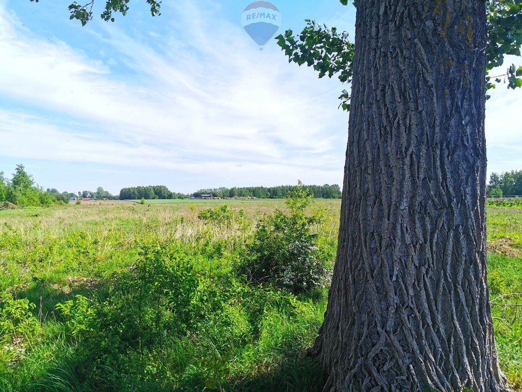 Działka budowlana na sprzedaż Sierakowice Lewe  600m2 Foto 3