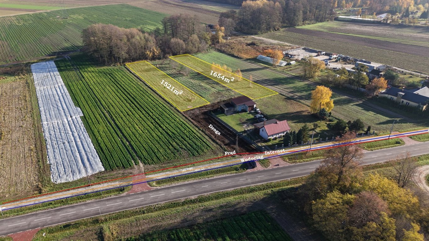 Zdjęcie 4