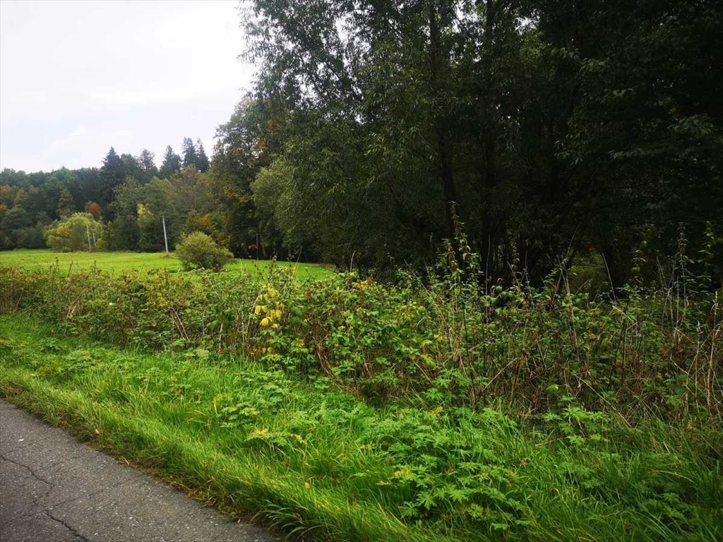 Działka inna na sprzedaż Długopole Górne  2 700m2 Foto 4