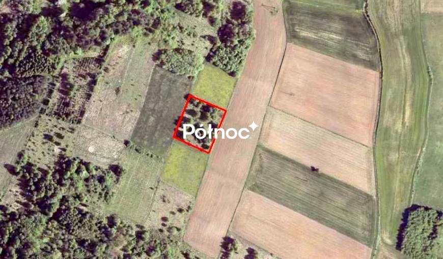 Działki rolne i zielona przestrzeń w Strzegowej – 6649 m² Strzegowa  6 649m2 Foto 1