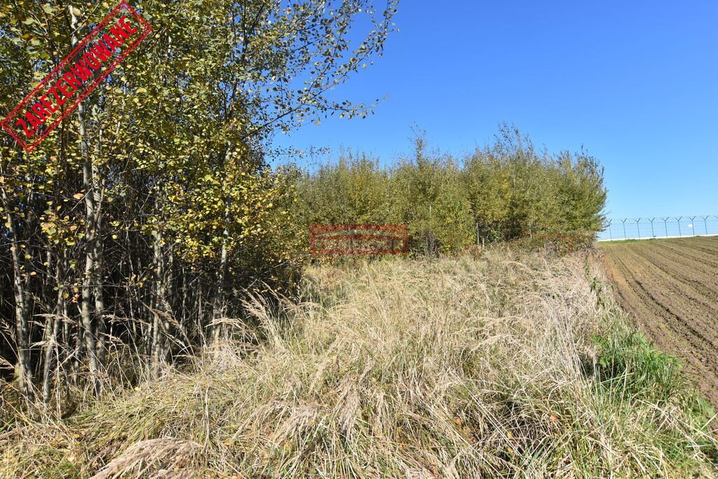 Działka komercyjna na sprzedaż Morawica  2 200m2 Foto 1