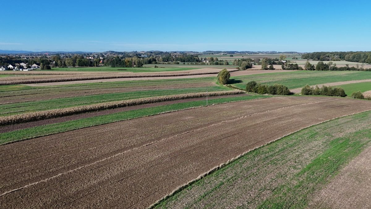 Działka rolna na sprzedaż Książnice, Książnice  13 700m2 Foto 9