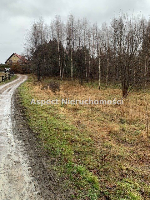 Działka budowlana na sprzedaż Rzyki  22 592m2 Foto 9