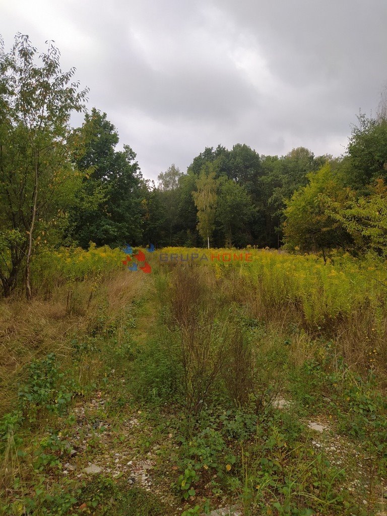 Działka budowlana na sprzedaż Kajetany  1 000m2 Foto 6