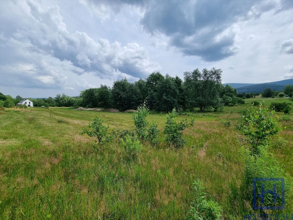 Działka budowlana na sprzedaż Pobiedna, Hetmańska  800m2 Foto 6