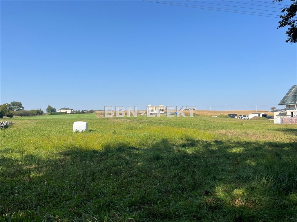 Działka budowlana na sprzedaż Pisarzowice  1 800m2 Foto 4