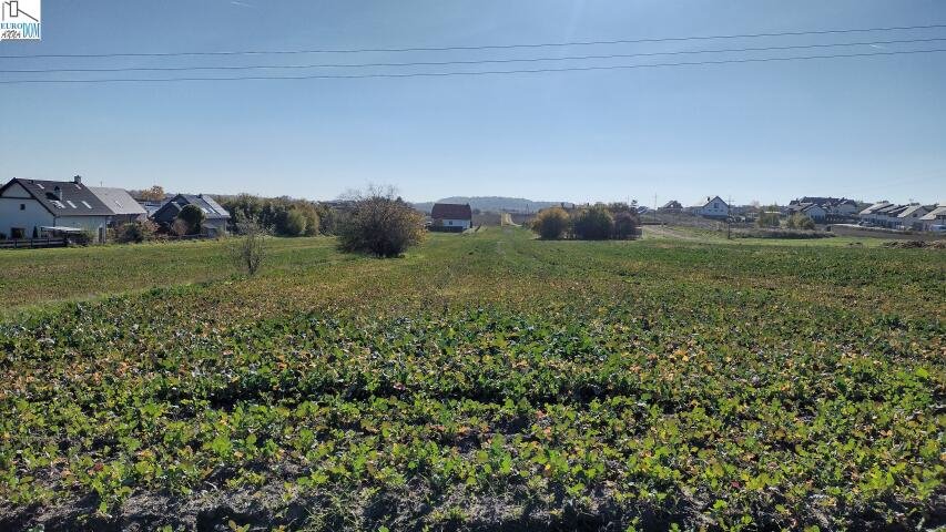 Działka budowlana na sprzedaż Świerklaniec  5 274m2 Foto 6