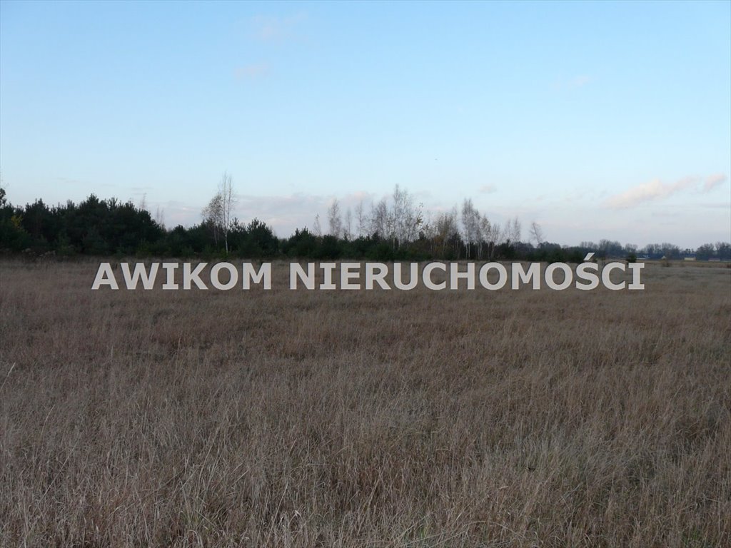 Działka rolna na sprzedaż Skierniewice, Sierakowice Lewe  11 173m2 Foto 1