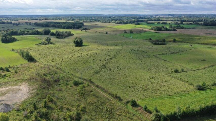 Działka rolna na sprzedaż Stare Sady  3 189m2 Foto 15