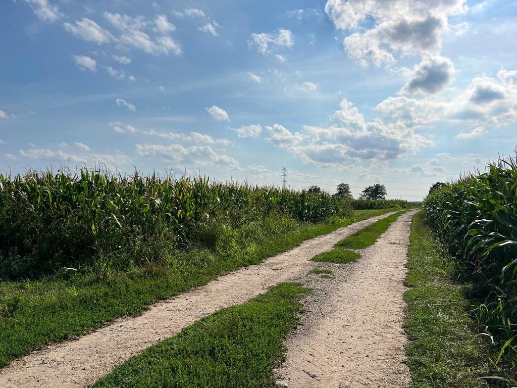 Działka inna na sprzedaż Karczów  21 000m2 Foto 3