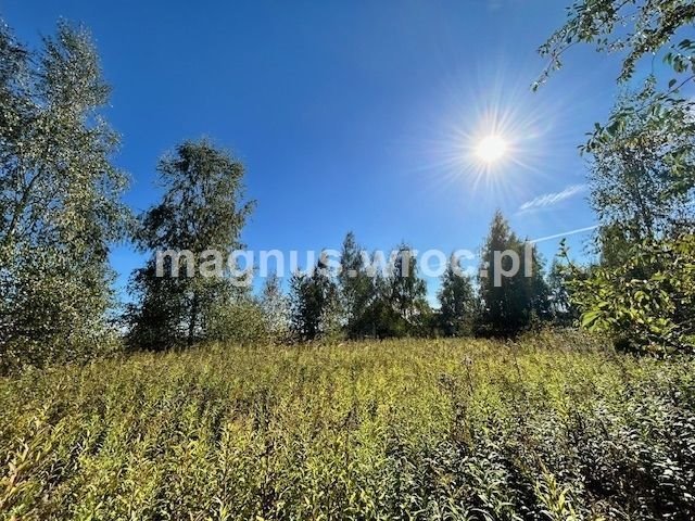 Działka budowlana na sprzedaż Miłoszyce, Brzozowa  3 423m2 Foto 1