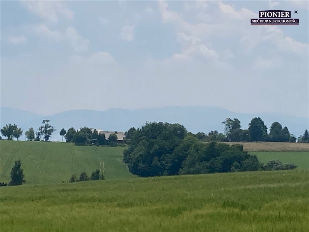 Działka rolna na sprzedaż Zamarski  70 000m2 Foto 6