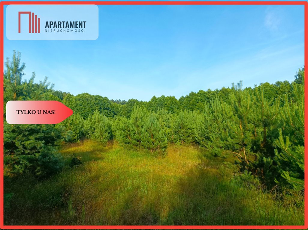 Działka gospodarstwo rolne na sprzedaż Łozy  4 165m2 Foto 1