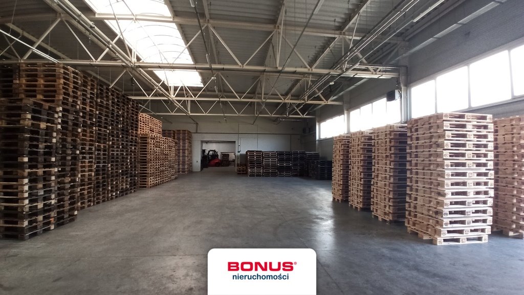 Magazyn z biurem 1567 m2, ogród, parking, PV Duszniki  1 567m2 Foto 1