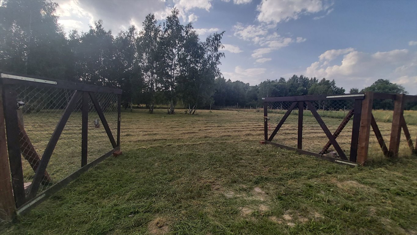 Działka budowlana na sprzedaż Radonie  3 000m2 Foto 11