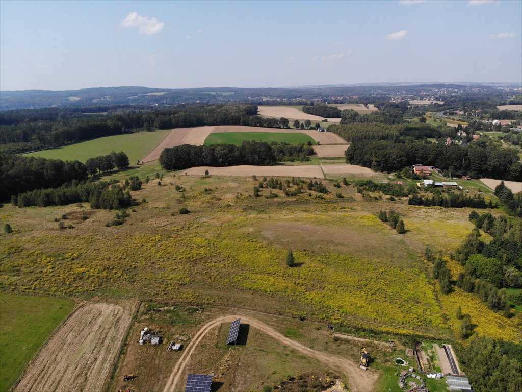 Działka budowlana na sprzedaż Olszyna Dolna  1 403m2 Foto 4