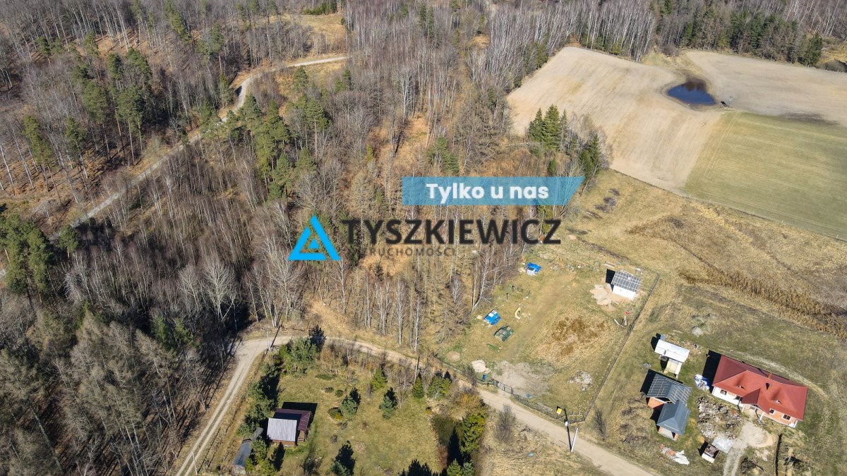 Działka 4800 m² pod dom z mediami, las, spokojna okolica Nowa Wieś Przywidzka, Jagodowa  4 800m2 Foto 1