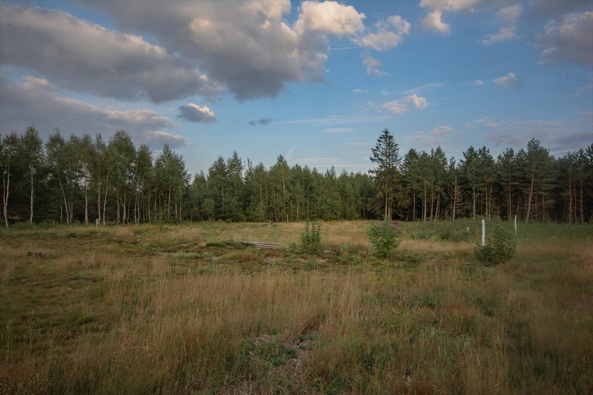 Działka inna na sprzedaż Kowalewo  1 005m2 Foto 9