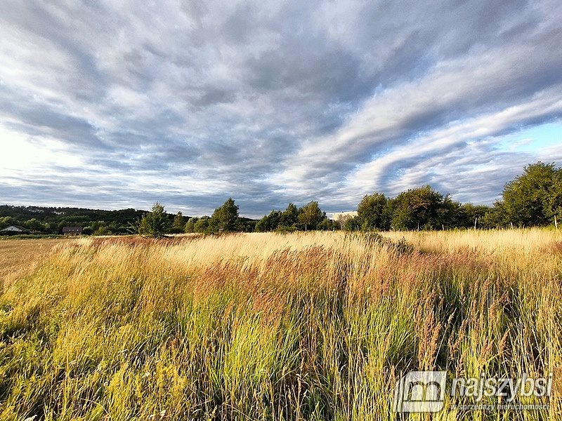 Działka rolna na sprzedaż Łupowo, Wieprzyce  2 352m2 Foto 7