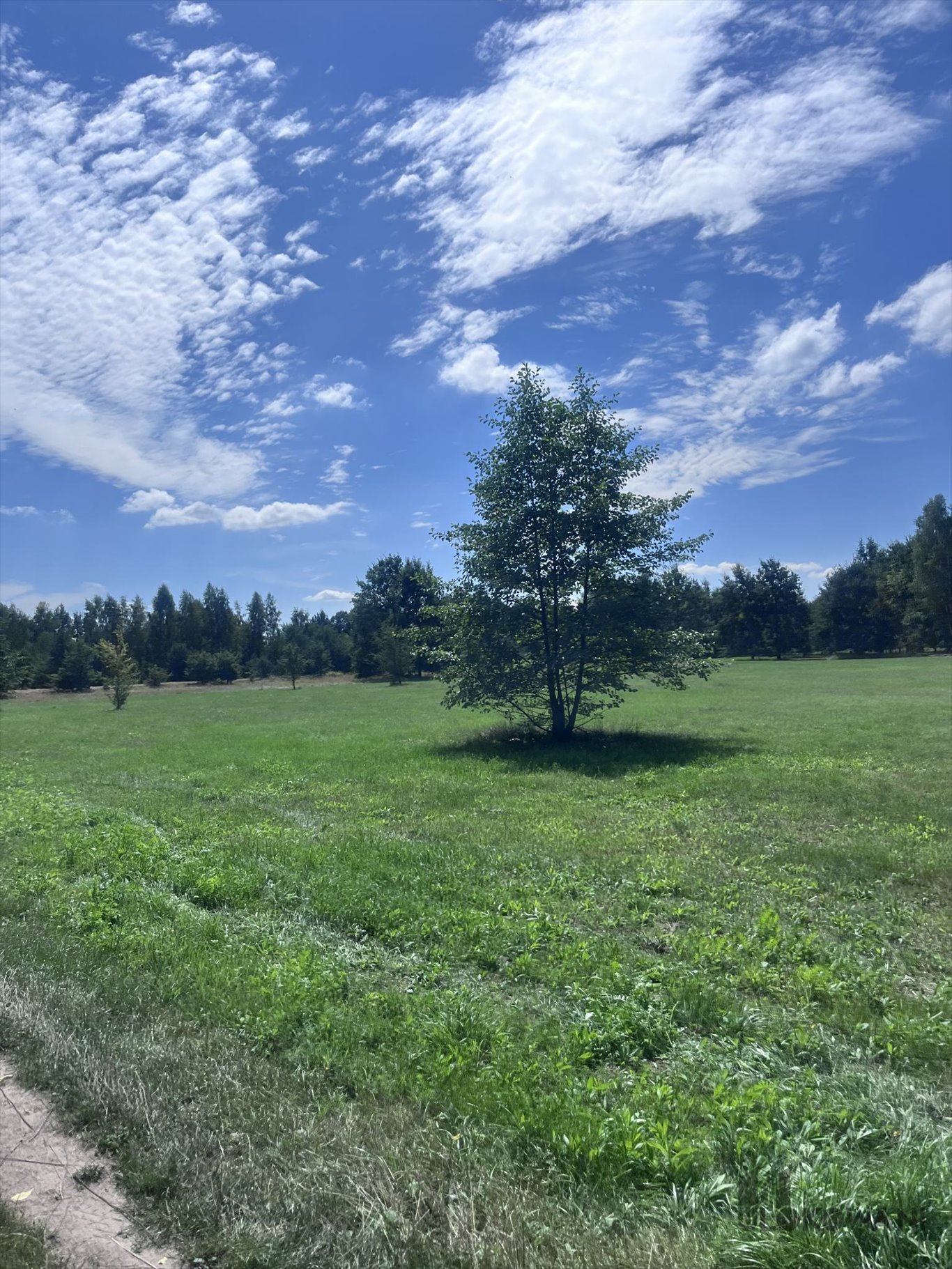 Działka budowlana na sprzedaż Stanisławów, Stanisławów, 95/4  4 000m2 Foto 4