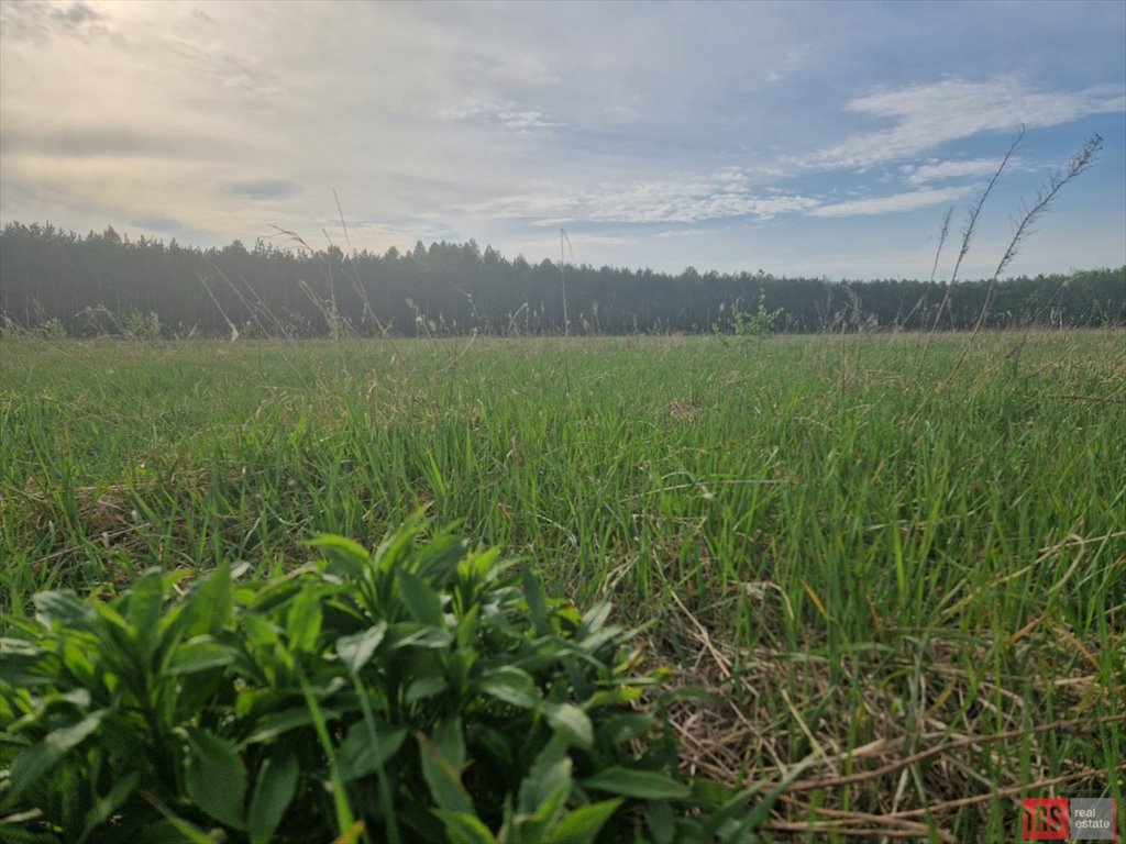 Działka 1300 m² z warunkami zabudowy i dostępem do mediów Joniec  1 300m2 Foto 1