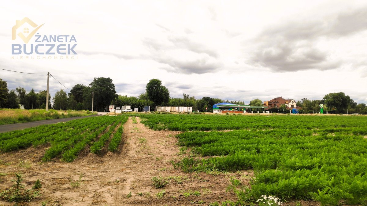 Działka usługowo-mieszkaniowa 13 571 m² przy DK 92 - dostęp do mediów Marysinek  13 571m2 Foto 1