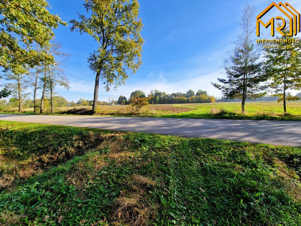 Działka inna na sprzedaż Sutków  15 100m2 Foto 14