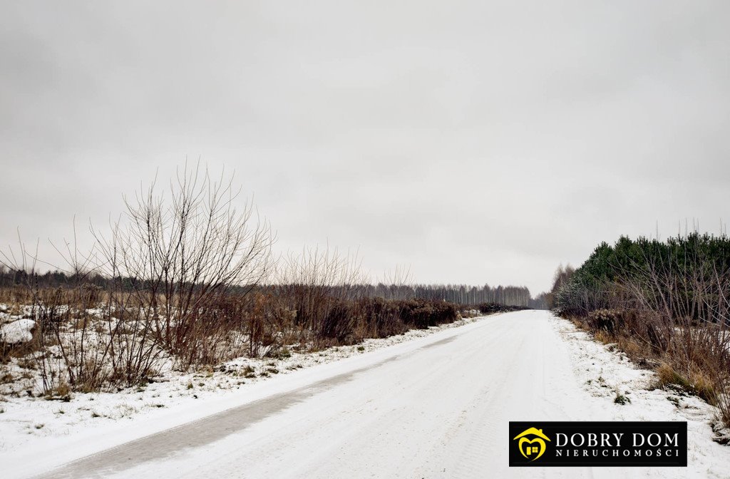 Działka pod dom jednorodzinny w Kruszynianach z warunkami zabudowy Kruszyniany  22 546m2 Foto 1