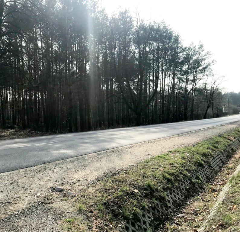 Działka rekreacyjna na sprzedaż Cyganówka  8 900m2 Foto 5