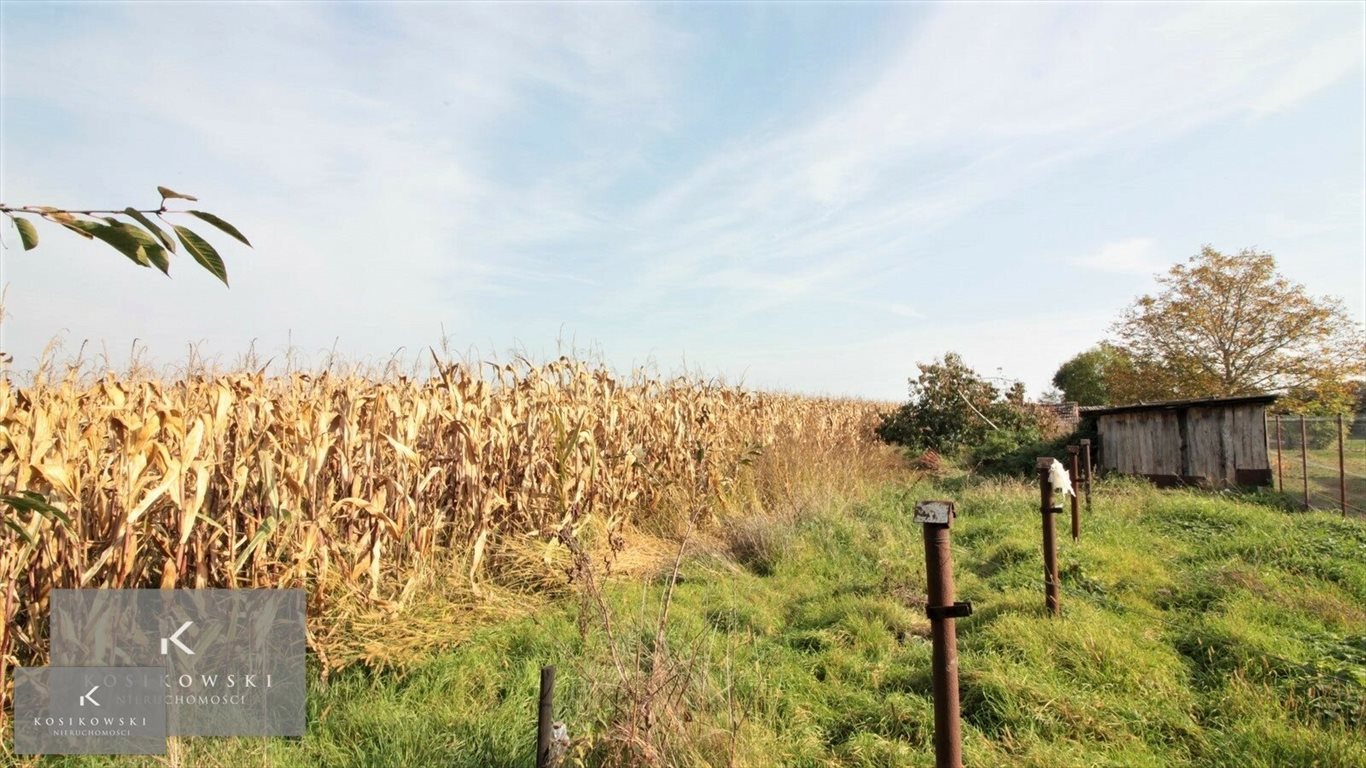 Działka inna na sprzedaż Namysłów, Gmina Namysłów  900m2 Foto 4