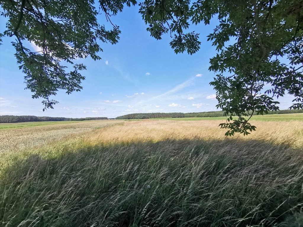 Działka rolna na sprzedaż Kleszczyna  27 800m2 Foto 4