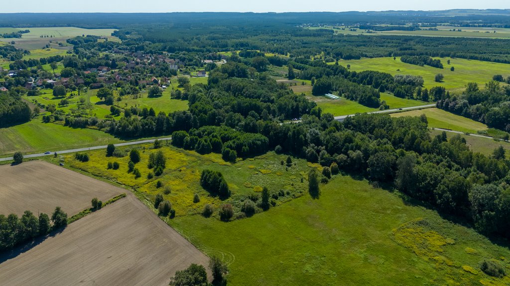 Działka inna na sprzedaż Kuźniczysko  9 900m2 Foto 6