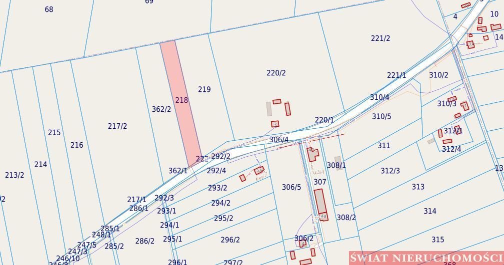 Działka rolna na sprzedaż Siedliszcze  4 400m2 Foto 4