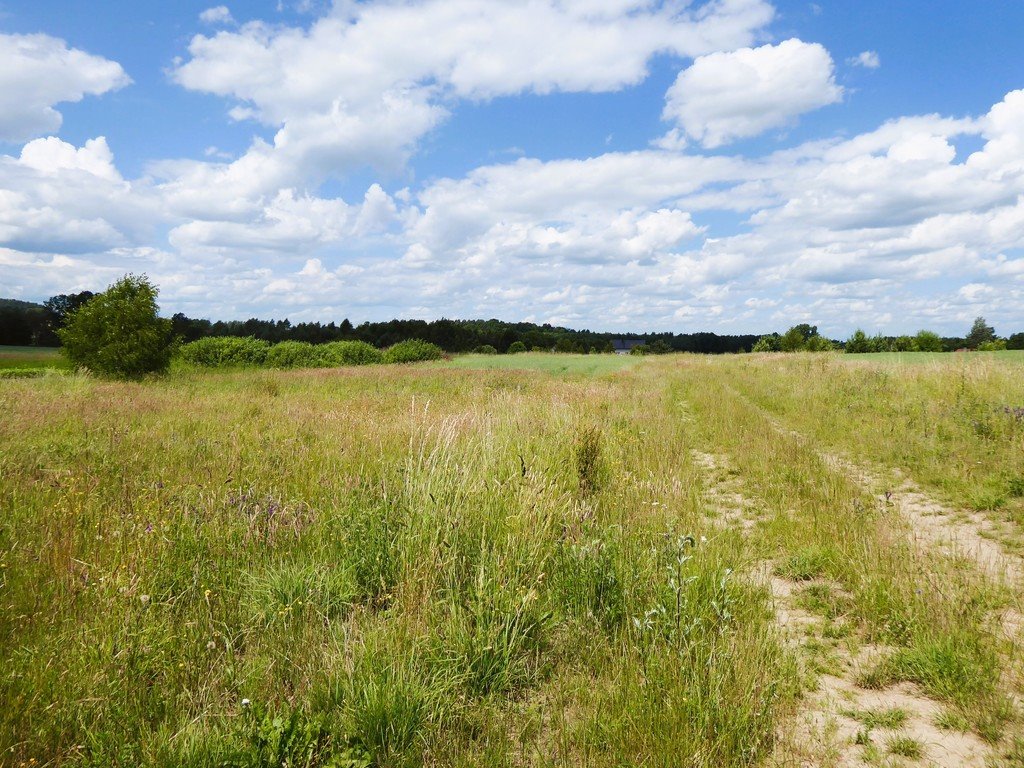 Działka budowlana na sprzedaż Borcz, Spokojna  1 292m2 Foto 14